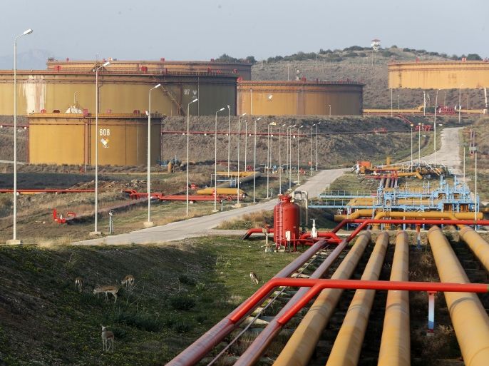 A general view of oil tanks at Turkey's Mediterranean port of Ceyhan, which is run by state-owned Petroleum Pipeline Corporation (BOTAS), some 70 km (43.5 miles) from Adana February 19, 2014. Crude oil flow through the Kirkuk-Ceyhan pipeline linking Iraq to Turkey restarted on Wednesday at a rate of at a rate of about 300,000-350,000 barrels per day (bpd), a Turkish energy official said. The pipeline, which carries Kirkuk crude to Turkey's Mediterranean port of Ceyhan, was down for more than 10 days after coming under an attack, the official said. REUTERS/Umit Bektas (TURKEY - Tags: BUSINESS POLITICS ENERGY)