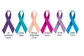 شعارات التوعية بالسرطانات النسائية، والتي تشكل نحو 20 % من إجمالي حالات السرطان الجديدة المشخصة حول العالم، المصدر: مؤسسة حمد الطبية