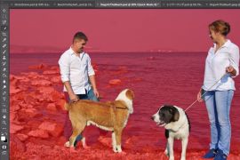 Adobe Photoshop CC 2018 new Select Subject tool