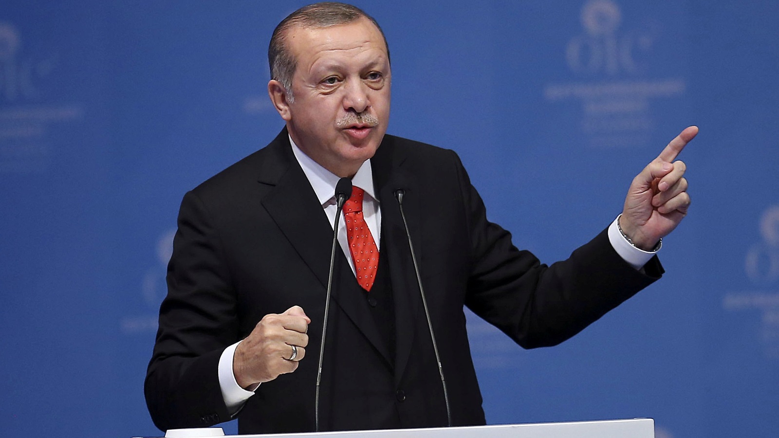 أردوغان دعا للاعتراف بدولة فلسطين (رويترز)