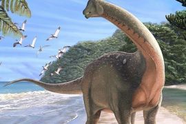 ميدان - ديناصور مصر