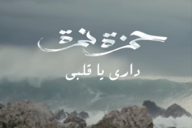 blogs داري يا قلبي حمزة نمرة