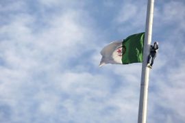 مدونات - علم الجزائر