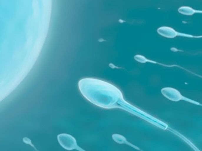 sperm - source reuters