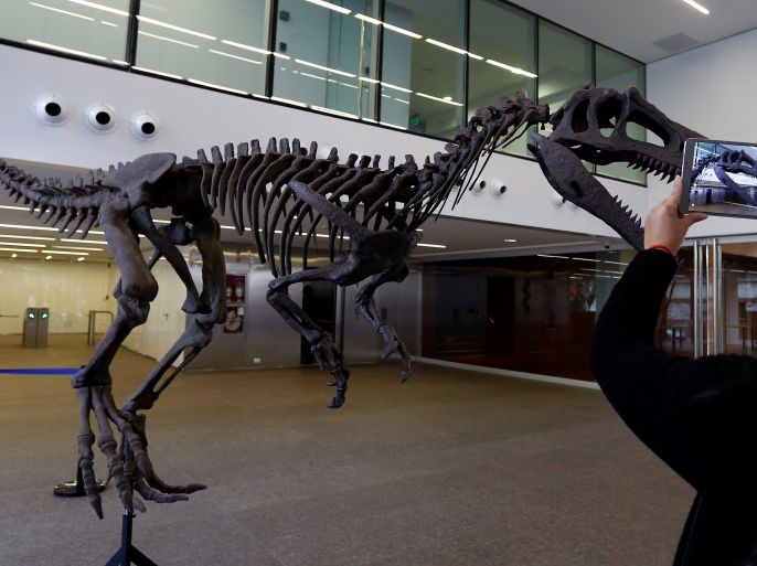 A woman takes photos of a replica of a newly discovered meat-eating dinosaur that prowled Argentina 90 million years ago, in Buenos Aires, July, 13, 2016. REUTERS/Enrique Marcarian