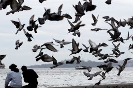 epa06323952 People sit near Bosphorus as they feedi pigeons on a cloudy day in Istanbul, Turkey, 12 November 2017. EPA-EFE/SEDAT SUNA