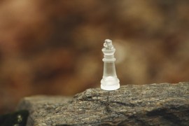 مدونات - بطل شطرنج