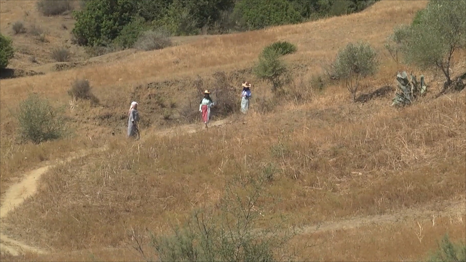 نساء قرية ريكشة يقطعن رحلة جبلية شاقة سيرا على الأقدام للوصول للبئر (الأناضول)