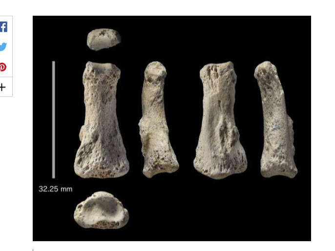 حفريات للإنسان الأول بالسعودية عمرها 90 ألف عام