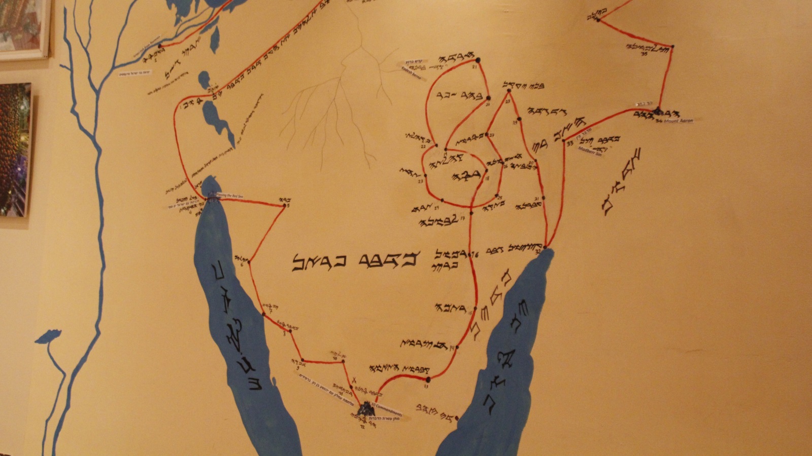 رسم لخريطة تيه بني إسرائيل في صحراء سيناء بعد خروجهم من مصر قبل 3654 سنة (الجزيرة)