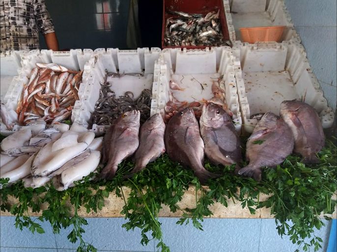 بسبب ارتفاع الأسعار.. مغاربة يطلقون حملة لمقاطعة الأسماك في رمضان تحت شعار