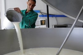 A man pours fresh collected milk in a farm in Tipaza, Algeria April 21, 2018. Picture taken April 21, 2018. REUTERS/Ramzi Boudina