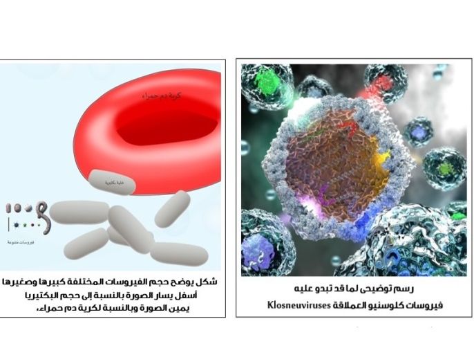 ما هي الفيروسات العملاقة؟ صور من موقع منظمة المجتمع العلمي العربي