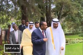 البرلمان الأوروبي يطالب الإمارات باحترام سيادة الصومال