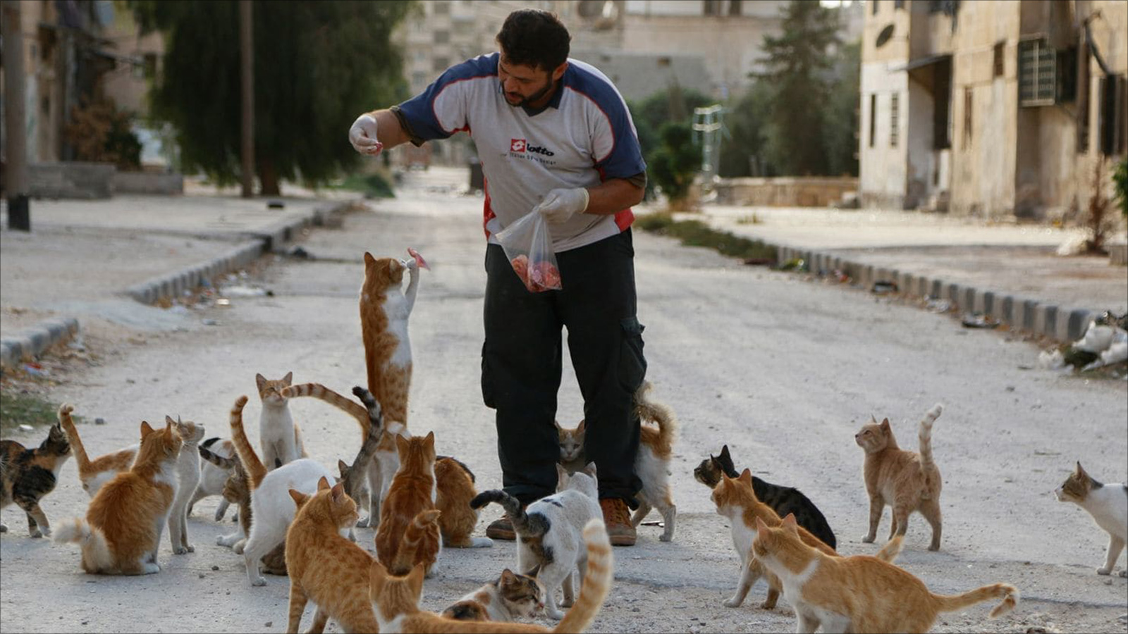 علاء سائق سيارة إسعاف يحرص يوميا على تغذية 150 قطا بما تيسر له من لحم(الصحافة الأميركية)