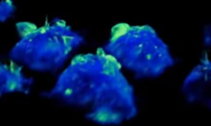تمكن علماء لأول مرة من رؤية تفاصيل دقيقة ولحظية لكيفية قيام الخلايا المناعية بمسح محيطها لكشف التهديدات، كما يوفر التصوير نظرة اعمق لكيفية نمو الخلايا السرطانية.