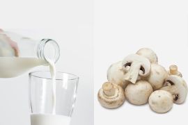 دراسة: الحليب والفطر يحاربان الأمراض الاستقلابية ولهذا نتائج باهرة