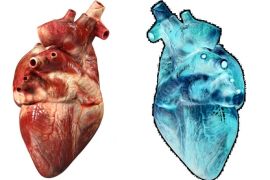 تصميم.. قامت شركة سيمنز هيلثينيترز بتصميم قلب صناعي عبر الذكاء الصناعي، يكون مماثلا للقلب الحقيقي –يسمى التوأم الرقمي digital twin - ، ويتنبأ بكيفية استجابة القلب الحقيقي للعلاج في الواقع.