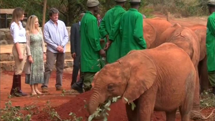 فيل صغير يصدم ميلانيا ترامب في كينيا