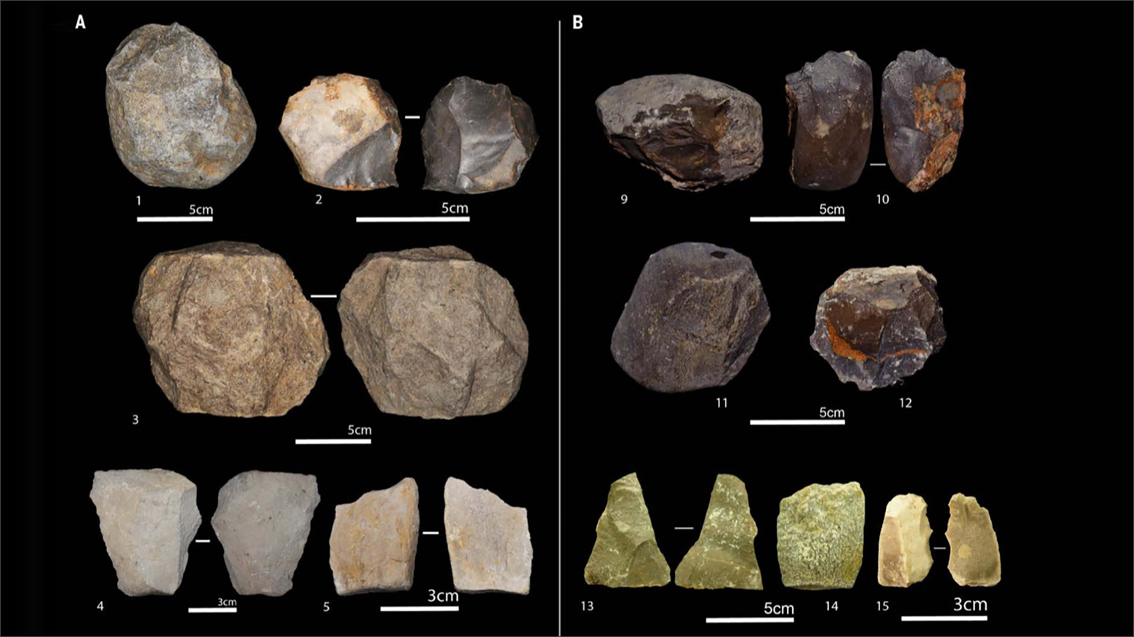 ‪بعض الأدوات الحجرية التي اكتشفت في الموقع وبينها النوى والرقائق الحجرية‬ (الجزيرة)