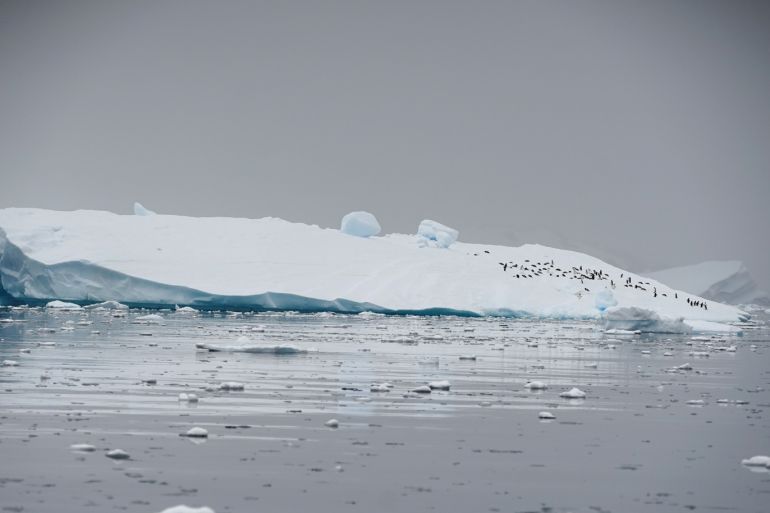 An iceberg floats in Andvord Bay, Antarctica, February 14, 2018. REUTERS/Alexandre Meneghini