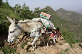 A man carries food supplies on a donkey to Dhalamlam Mountain in the Jafariya district of the western province of Raymah, Yemen June 2, 2016. REUTERS/Abduljabbar Zeyad SEARCH