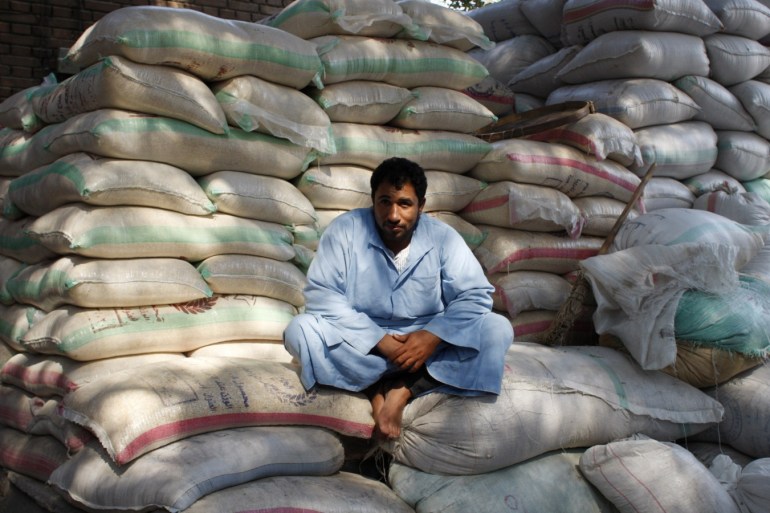 A worker sits amongst bags of Flour at a warehouse in a grain market in Cairo November 9, 2008.  Slower than expected rises in food prices cut urban inflation in Egypt to 21.5 percent in the year to September, down from a 16-year high of 23.6 percent the month before.  International food prices hit nine-month lows in September and have since tumbled further as investors pulled their money out of turbulent markets.  REUTERS/Nasser Nuri   (EGYPT)