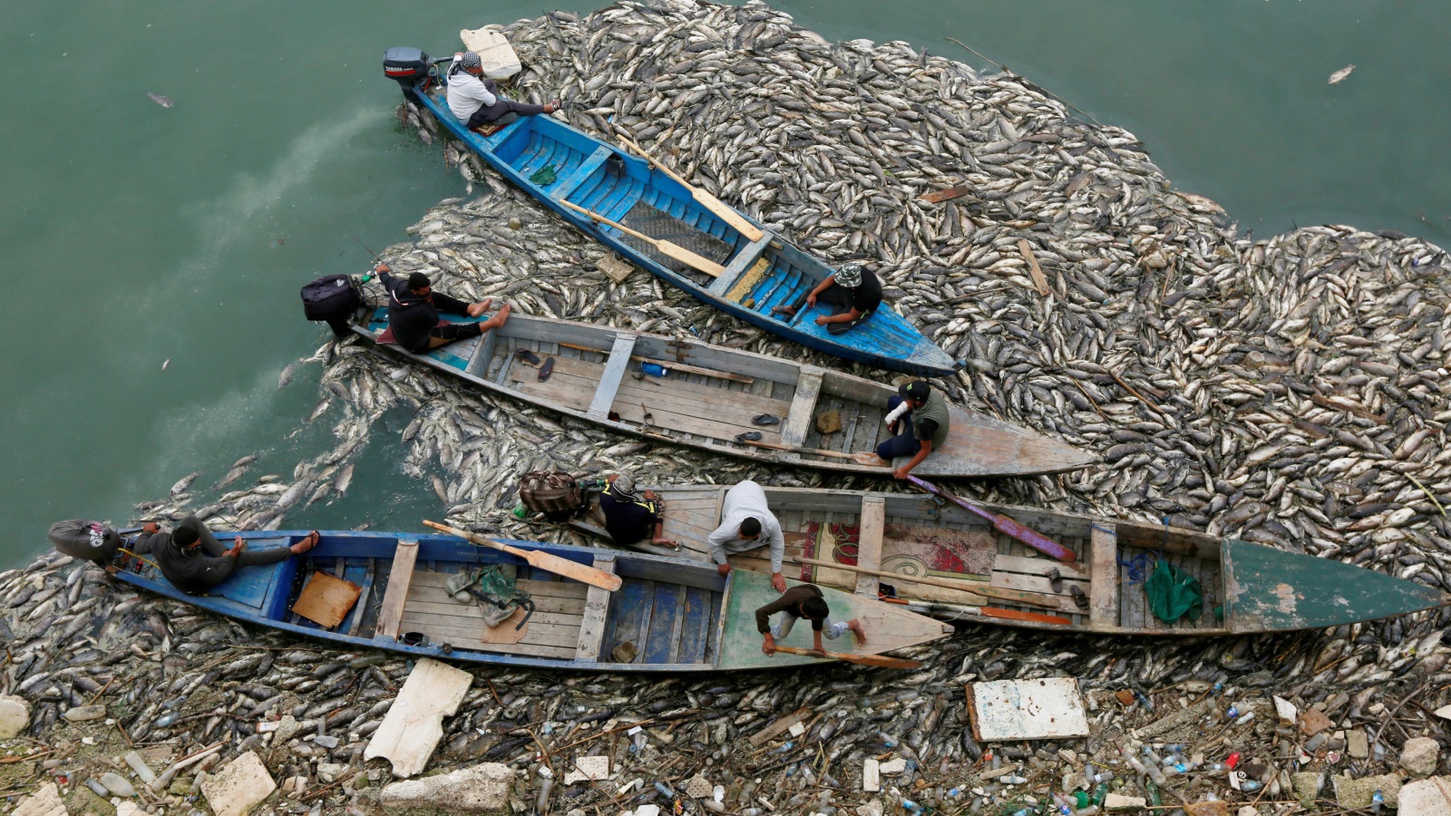 إلى جانب نفوق الأسماك فإن الكارثة تهدد بمشكلة بيئية (رويترز)