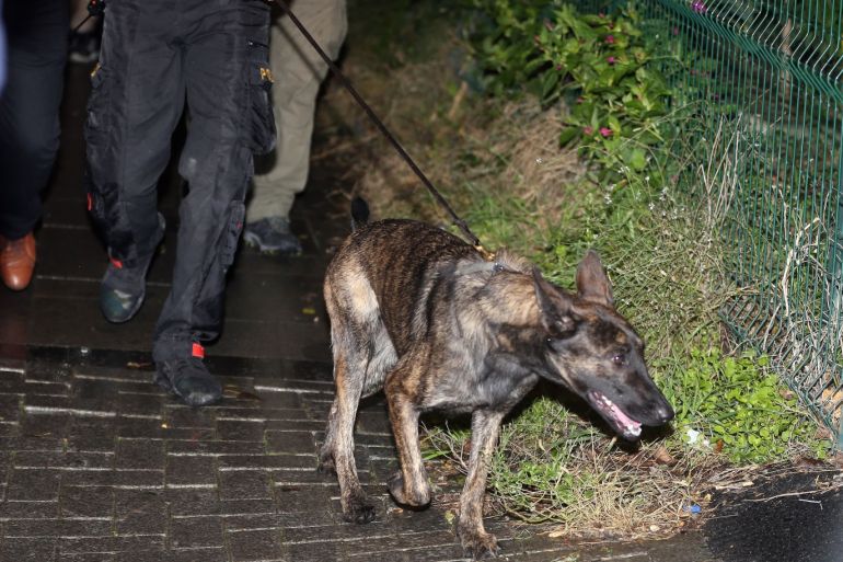 Disappearance of Prominent Saudi journalist Jamal Khashoggi- - ISTANBUL, TURKEY - OCTOBER 18: Istanbul Police Department's cadaver dog Melo inspects garden of the Consul General of Saudi Arabia as part of an investigation on the disappearance of Prominent Saudi journalist Jamal Khashoggi in the Consulate General of Saudi Arabia in Istanbul, Turkey on October 18, 2018. Turkish and Saudi Arabian officials initiated joint investigation for the case of disappearance of journalist Jamal Khashoggi.