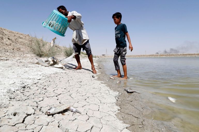 Un homme collecte des poissons morts dans un réservoir de pisciculture au nord de Bassora. Le fleuve Chatt al-Arab qui irrigue la région enregistre des taux de salinité records. / Haidar Mohammed Ali/AFP