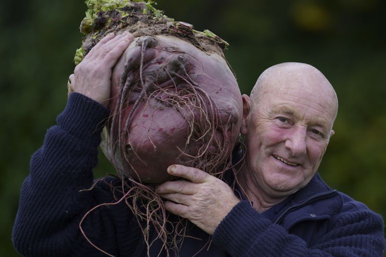 HARROGATE, ENGLAND - SEPTEMBER 15: Giant vegetable grower Joe Atherton from Mansfield poses with his giant award winning beetroot that weighed in at 16.81kg at the Harrogate Autumn Flower Show on September 15, 2017 in Harrogate, England. Gardeners and horticulturalists from across Britain descend on the Yorkshire Showground every Autumn to show off their prized crops of vegetables, flowers and plants in the hope of a coveted award from the judges. The show which is organised by the North of England Horticultural Society is open to the public from 15-17 September. (Photo by Christopher Furlong/Getty Images)