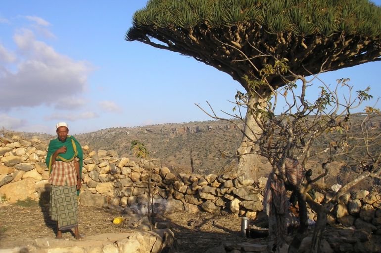 Noh Maalha, a Socotri goatherd, stands next to a Dragon's Blood tree in the compound of his house February 1, 2008. Evolution has run riot on Yemens windy isles of Socotra, whose dizzing cliffs, jagged peaks and exotic plants entice the imagination to do the same. REUTERS/ Alistair Lyon (YEMEN)