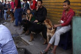 People sit with their dogs on display for sale at a market for pets in Old Cairo, November 7, 2014. REUTERS/Asmaa Waguih (EGYPT - Tags: SOCIETY ANIMALS)