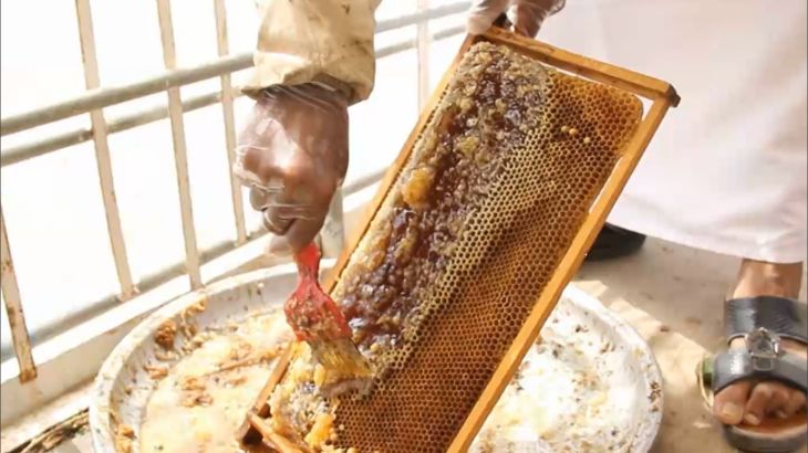 معارض العسل الطبيعي بعُمان.. ملجأ العاملين بعد تراجع الإنتاج