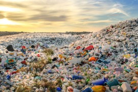 البلاستيك يدمر النظام البيئي للأرض