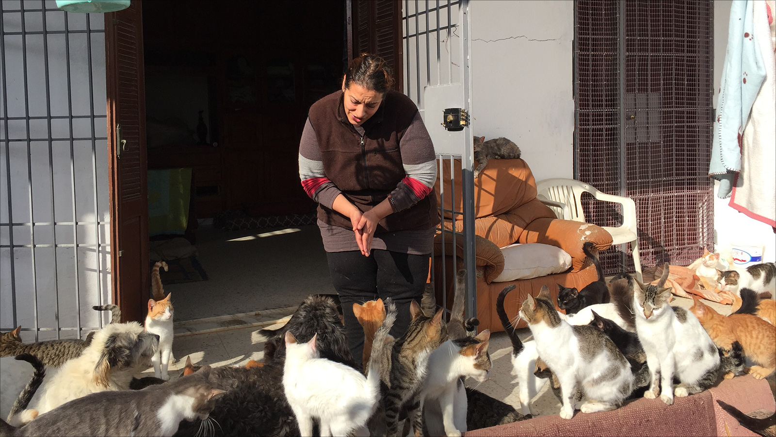 هدى بوشهدة عاشقة القطط والكلاب في تونس وسط عشرات من حيواناتها الأليفة (الجزيرة)
