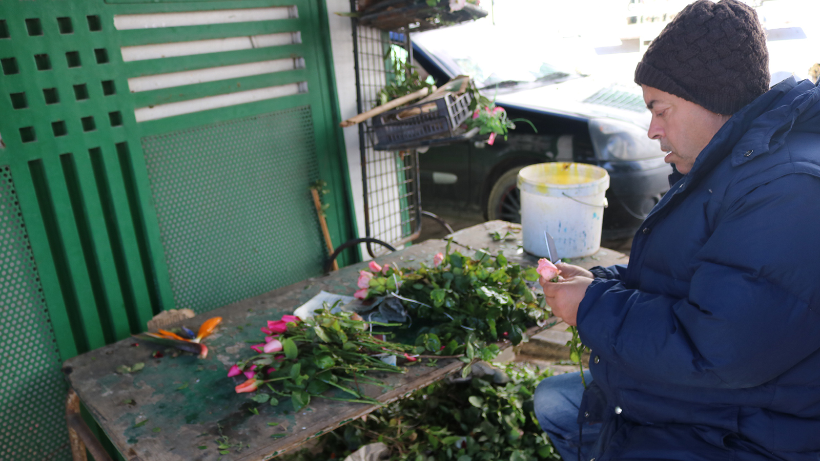 يقدم محل لبيع الزهور ٧ زهرات إضافية للمشتري إذا اشترى عددا من الزهور يفوق ٥٠ زهرة