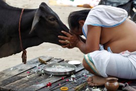 A Hindu devotee offers prayers to a cow after taking a holy dip in the waters of Sangam, a confluence of three rivers, the Ganga, the Yamuna and the mythical Saraswati, in Allahabad, India, September 28, 2016. REUTERS/Jitendra Prakash TPX IMAGES OF THE DAY