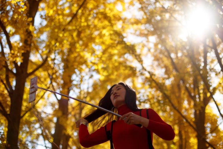 A woman takes a selfie in an alley of autumn-coloured gingko trees in Beijing, China, November 9, 2018. REUTERS/Thomas Peter