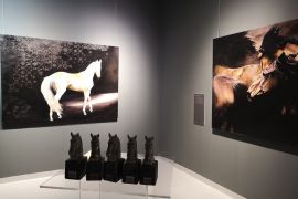 خيول السلاطين العثمانيين تحكي أعظم الفتوحات في معرض فني بالدوحة