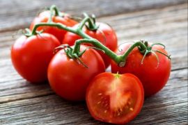 تحتوي الطماطم على الكثير من الفيتامينات والمعادن التي تعزز جهاز المناعة tomato