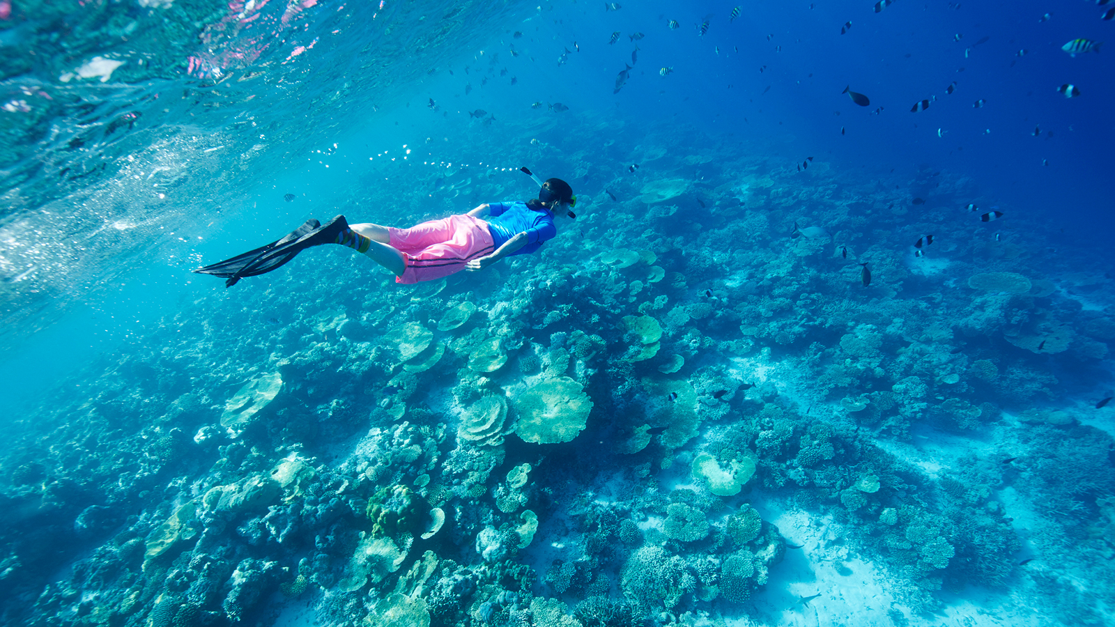 الرياضات البحرية جزء من السياحة لمن يحبون الغوص في المحيط الهندي (غيتي إيميجز)