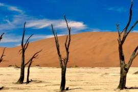 Said سعيد - الصحراء الأفريفية الواقعة في ناميبيا كانت مغطاء بالثلوج من 300 مليون عام - باحثون يكشفون تفاصيل يوم كانت أفريقيا مغطاة بالثلوج