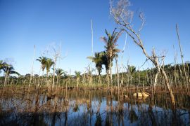 ABUNA, BRAZIL - JUNE 25: Dead trees stand in a recently deforested section of the Amazon rainforest on June 25, 2017 near Abuna, Rondonia state, Brazil. Deforestation is increasing in the Brazilian Amazon and rose 29 percent between August 2015 and July 2016. According to the National Institute for Space Research, close to two million acres of forest were destroyed during this timeframe amidst a hard hitting recession in the country. According to the Environmental Defe