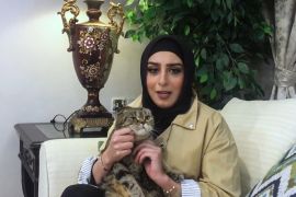 معلمة كويتية تحترف تجارة القطط