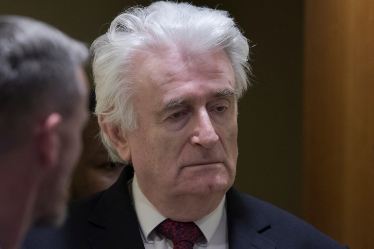 Former Bosnian Serb leader Radovan Karadzic appears before the Appeals Chamber of the International Residual Mechanism for Criminal Tribunals (