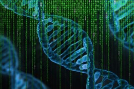 DNA computing (pixabay)