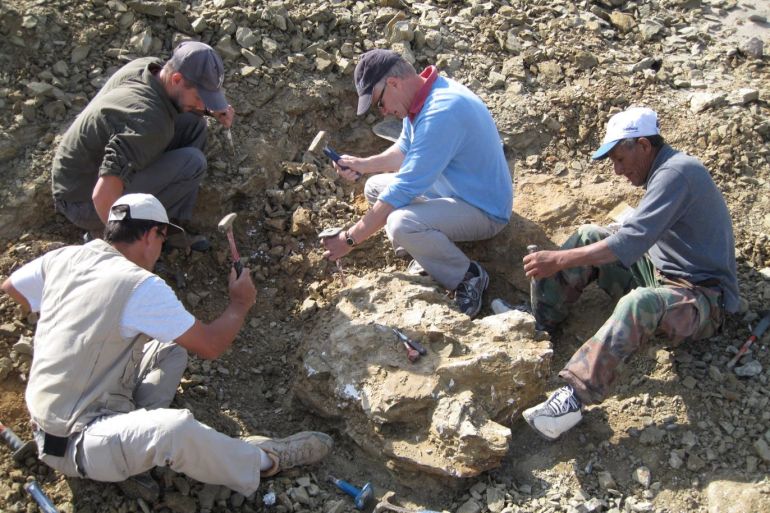 Said سعيد - فريق بحثي من بلجيكا وفرنسا عمل على هذا الاكتشاف - اكتشاف حفريات حوت رباعي الأرجل في أمريكا اللاتينية