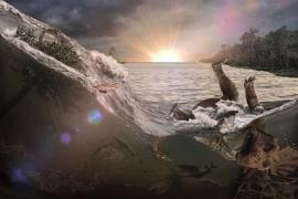 Said سعيد - تسبب نيزك وقع قبل 66 مليون عام في موجة تشبه تسونامي في بحر داخلي تسببت في قتل ودفن الأسماك والثدييات - لم تكن الديناصورات وحدها التي انقرضت قبل 66 مليون سنة