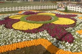 مهرجان الزهور في بغداد يجتذب الآلاف